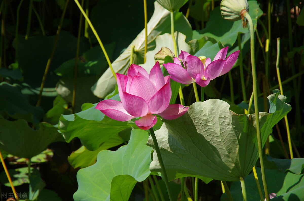 Touch your conscience every day and do things with a clear conscience ...