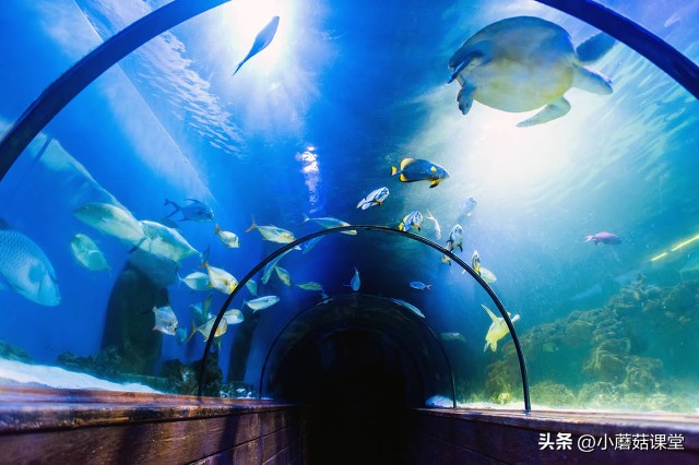 Create life: artificial organisms, the ultimate challenge of future ...