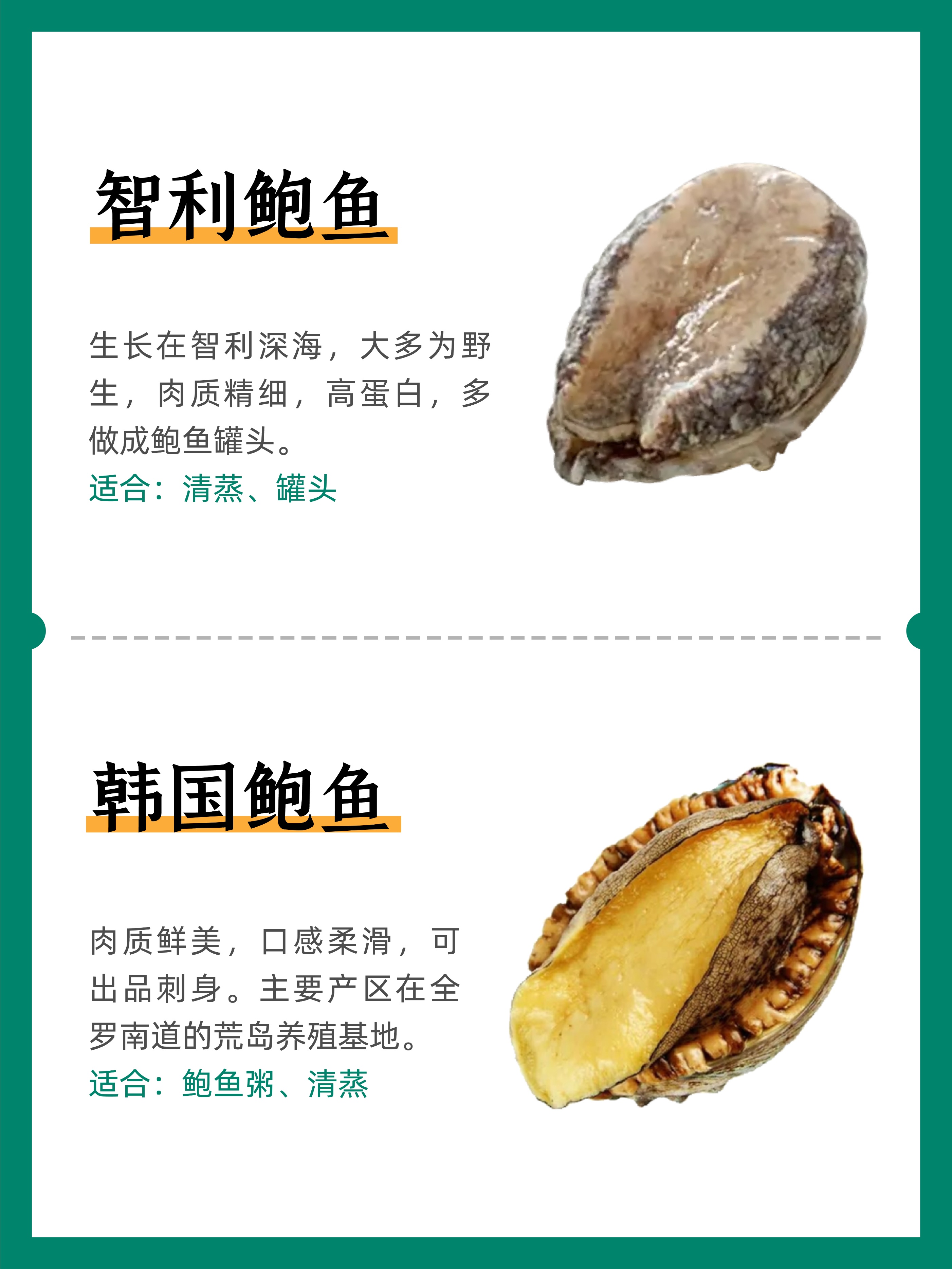 The shape and taste of common abalone - iNEWS