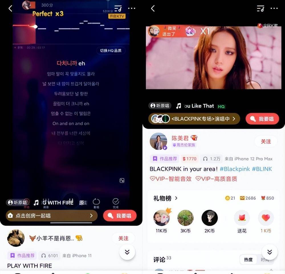 National K Songs participated in BLACKPINK's exclusive 
