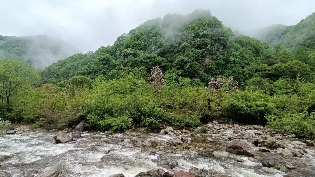 In Liuba deep in the Qinling Mountains, take a 