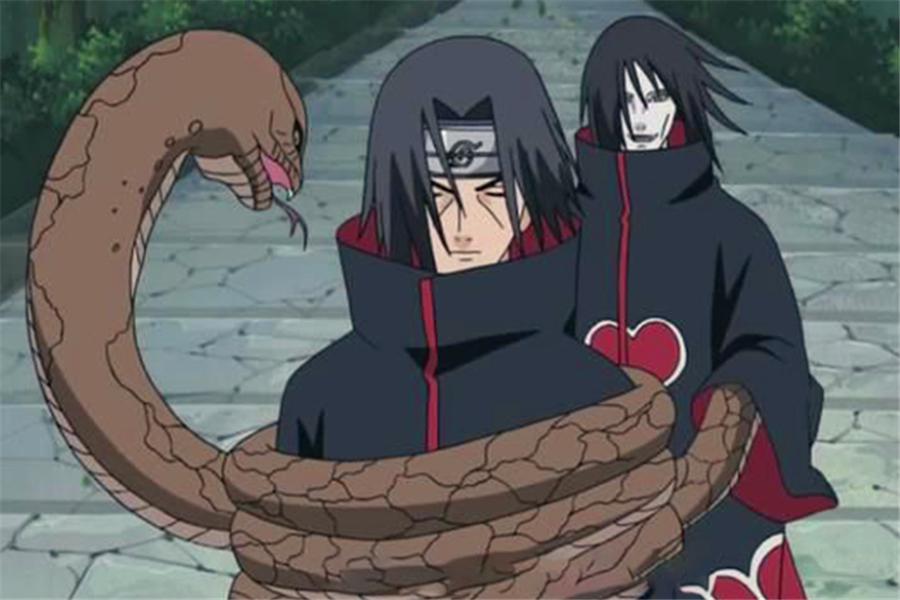Naruto Why didn't Uchiha Itachi not kill him after Akatsuki was