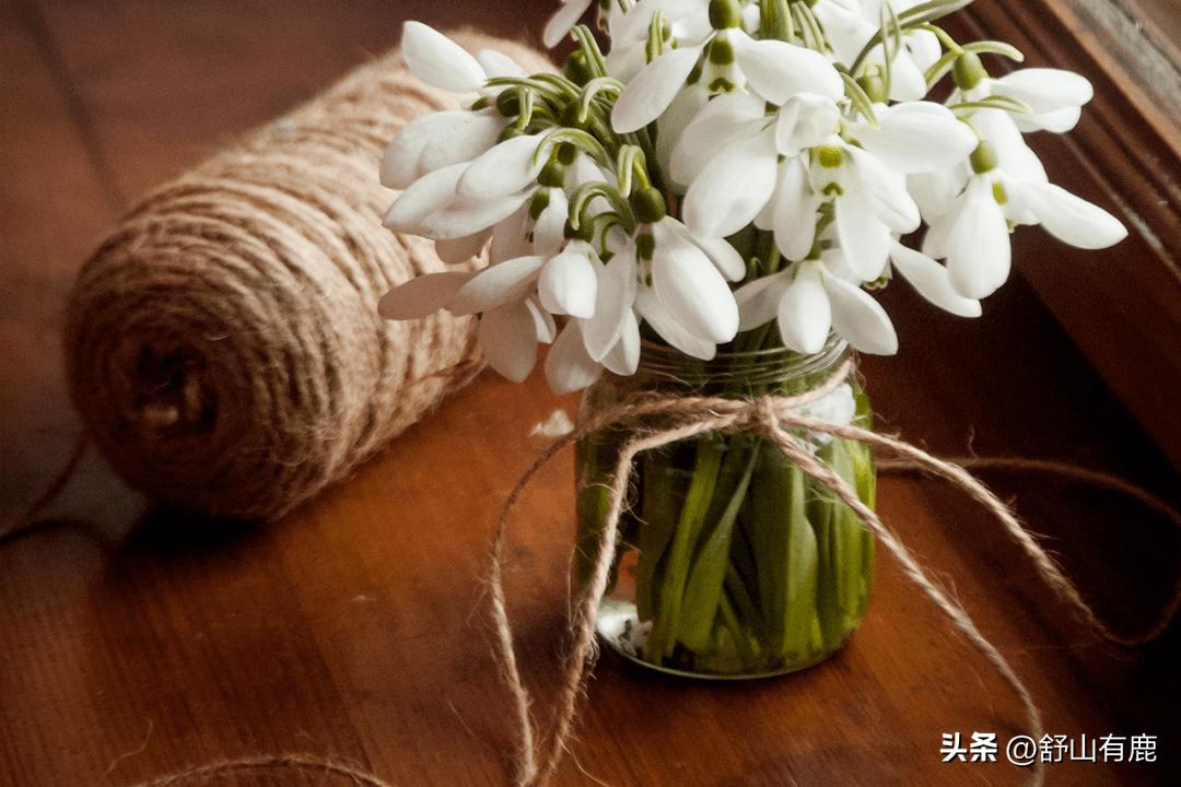 "When you are poor, you can see it at a glance" If you commit these