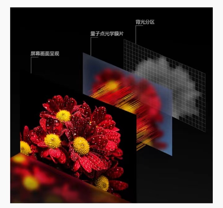 Horizontal comparison of TCL and Hisense smart screens with the same