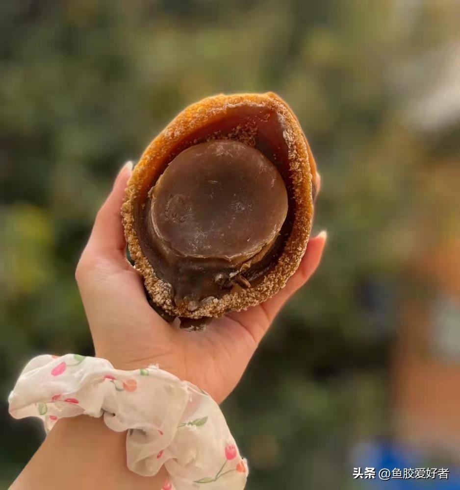 Why is dried abalone more valuable than fresh fish?It turns out that