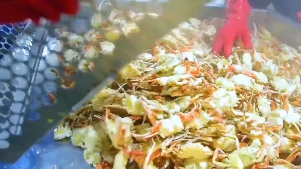 Do you know how canned crab meat is produced? iMedia