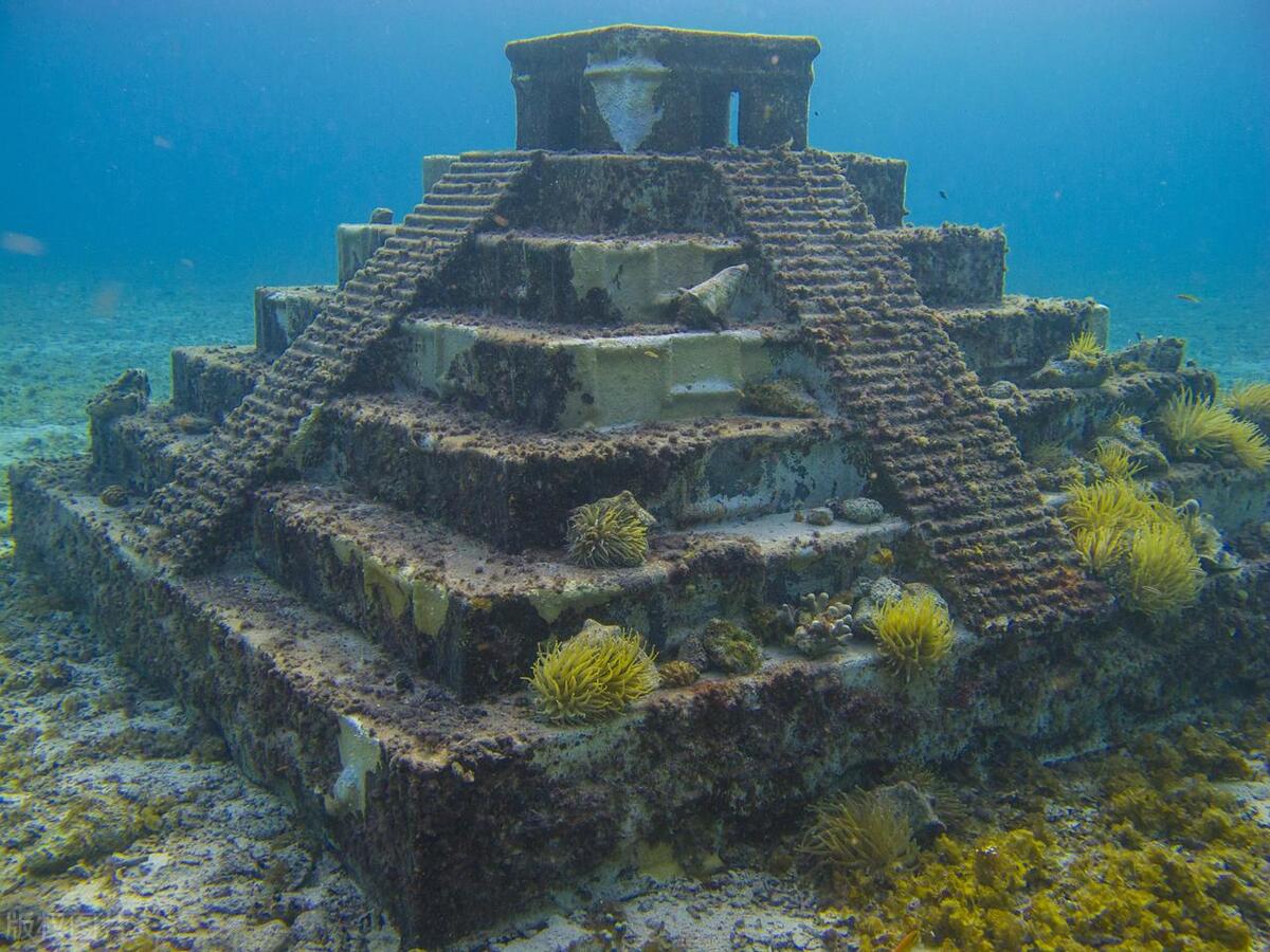 Exploring the Secrets of the Deep Pacific: The Mystery of the ...