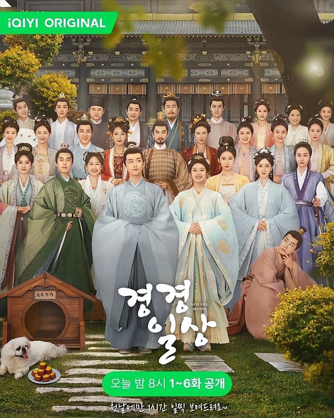 Qingqing Daily Episode 24 ~ Episode 26 Diversity Plot Introduction ...