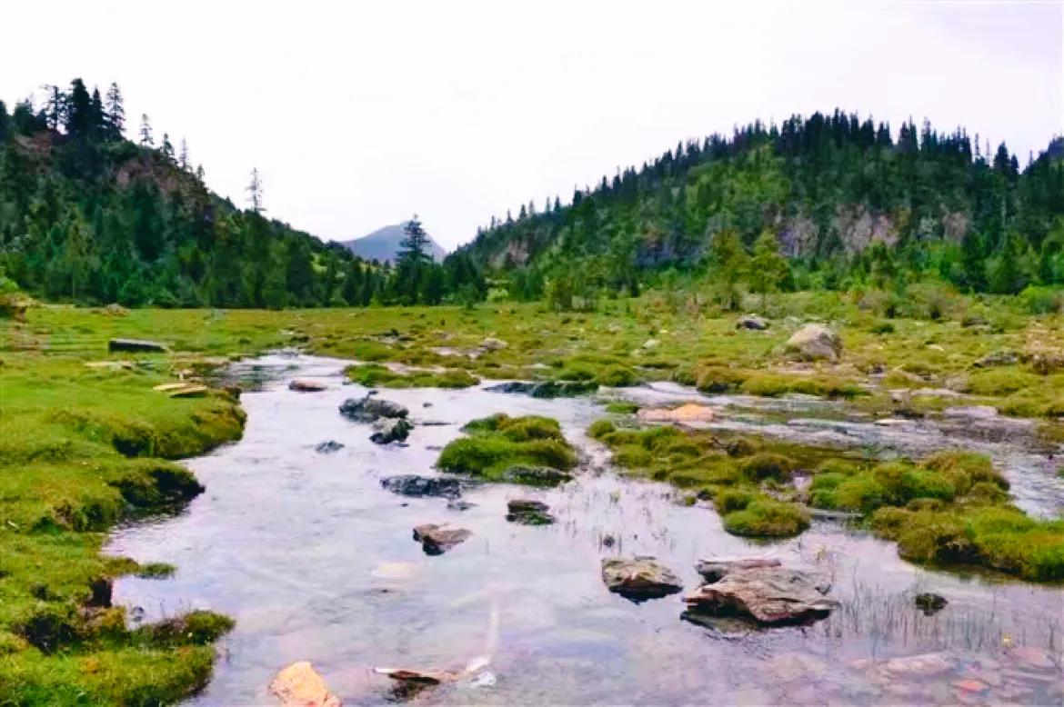 Recording the Eighth Natural Wuhu Lake in Tibet - iNEWS