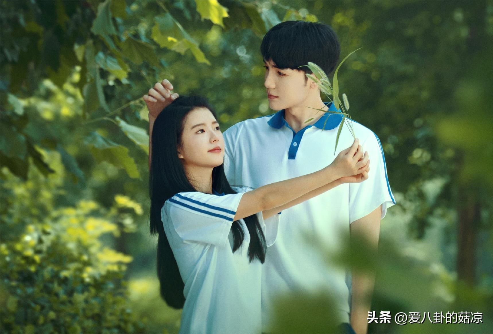 The six new dramas that have been scheduled to be broadcast, all of