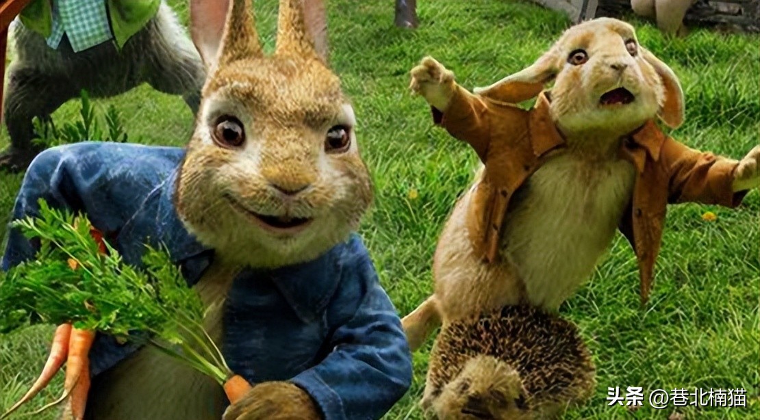 Unforgettable childhood memories: A group of cute little rabbits dared ...