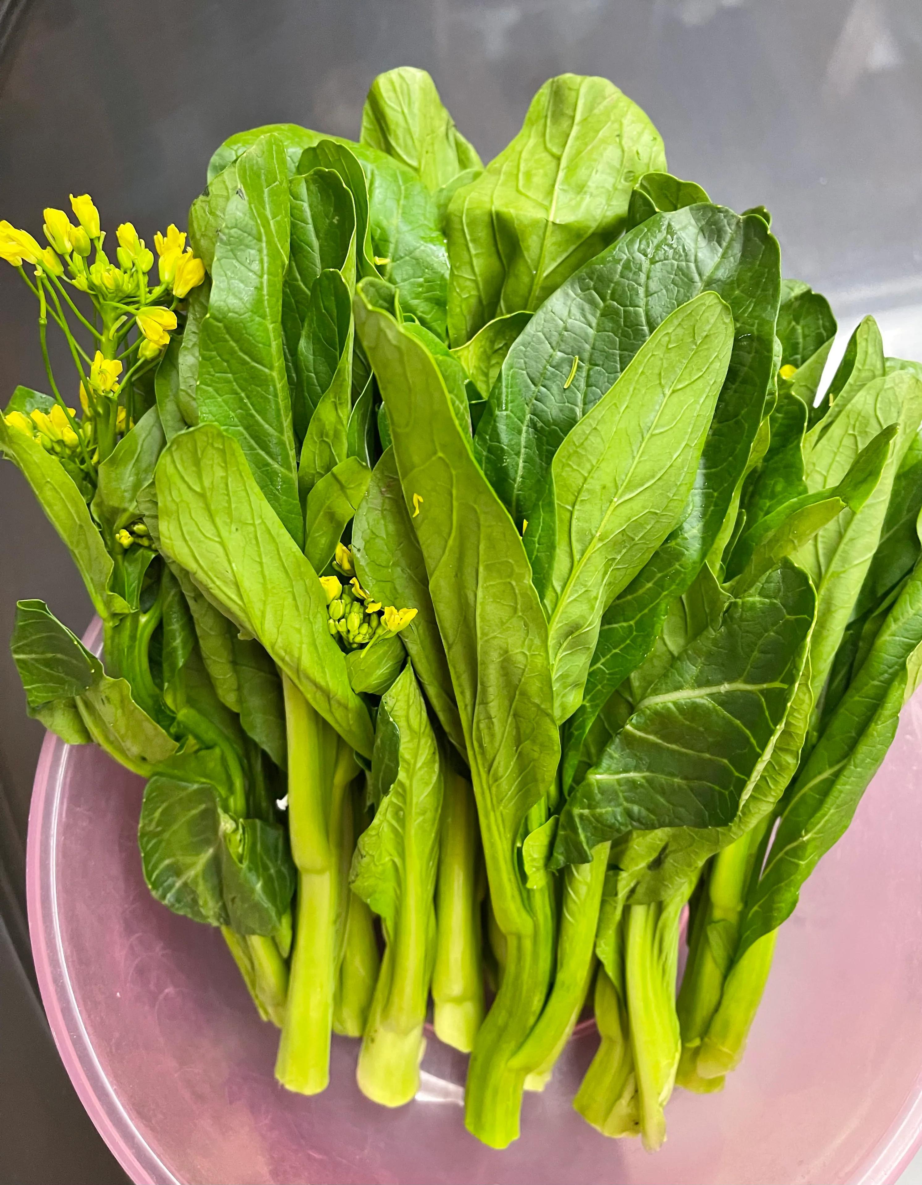 Boiled cabbage heart! iNEWS
