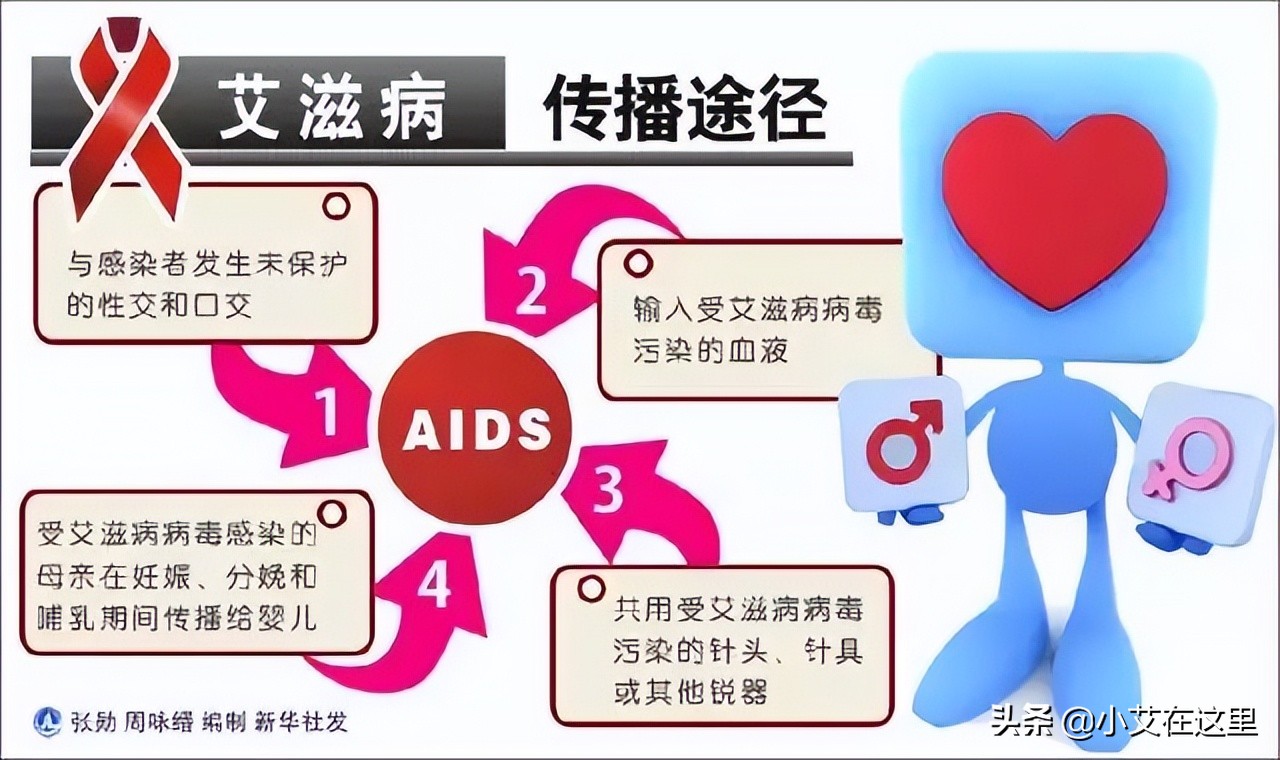 How long does HIV survive outside the body? - iMedia