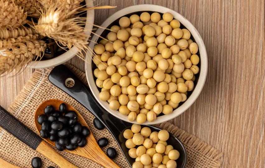 As the saying goes "It is better to eat beans than meat for spring