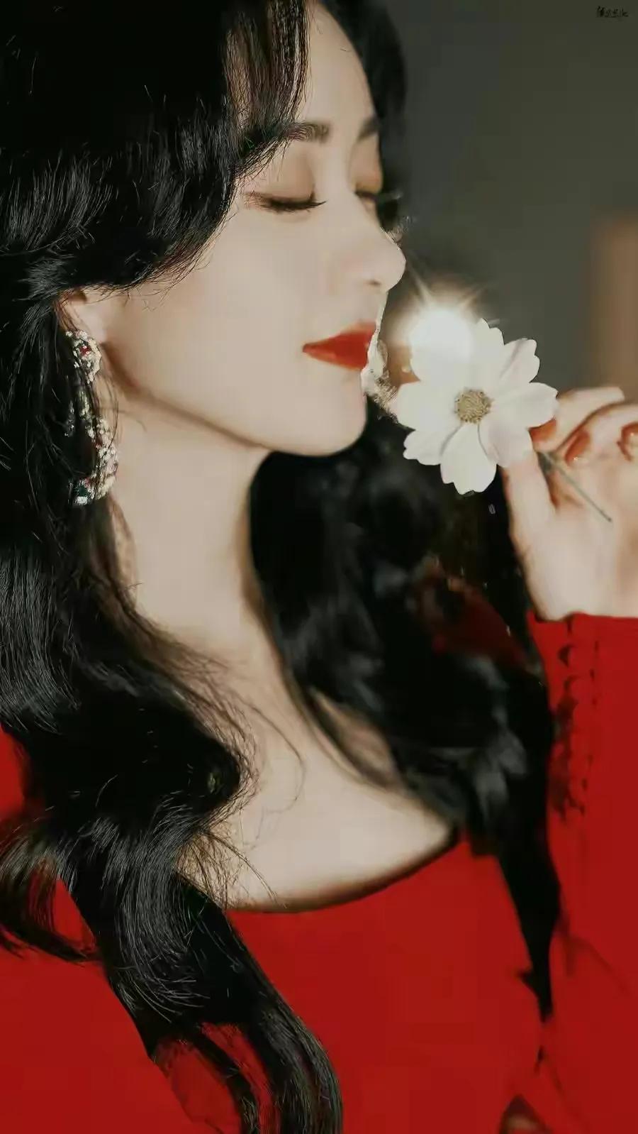 [Zhao Liying wallpaper] The flowers in the south of the city are ...