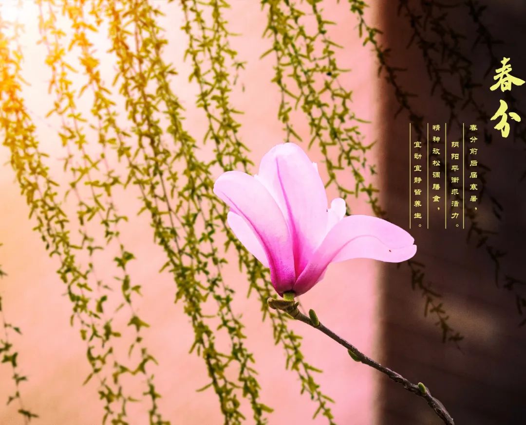 Con Tos Spring The 56 most beautiful springs in China, how many have you been to? - iNEWS