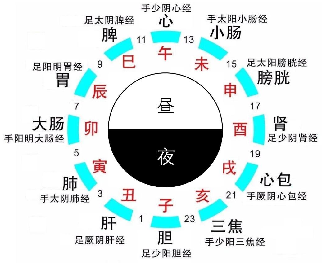 What is the astronomical and humanistic significance of the twelve earthly branches? iNEWS
