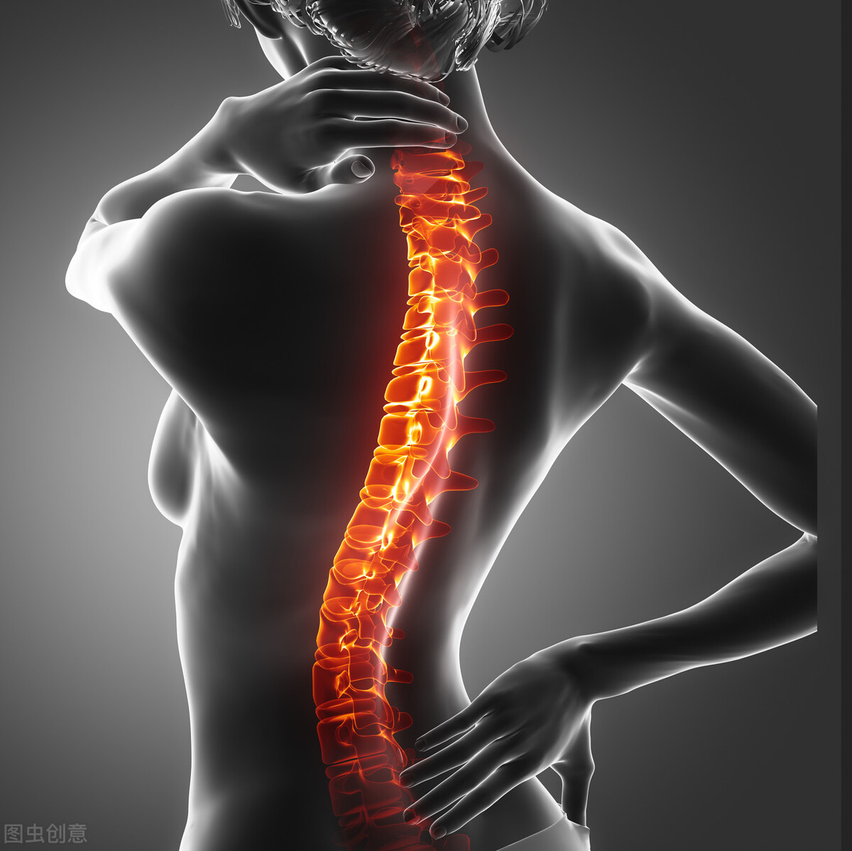 Corresponding visceral formulas for each part of the spine - iNEWS