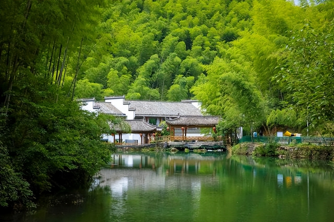 黃山也有綠意盎然的竹海，在木坑竹海享受夏日的詩情畫意 - 資訊咖