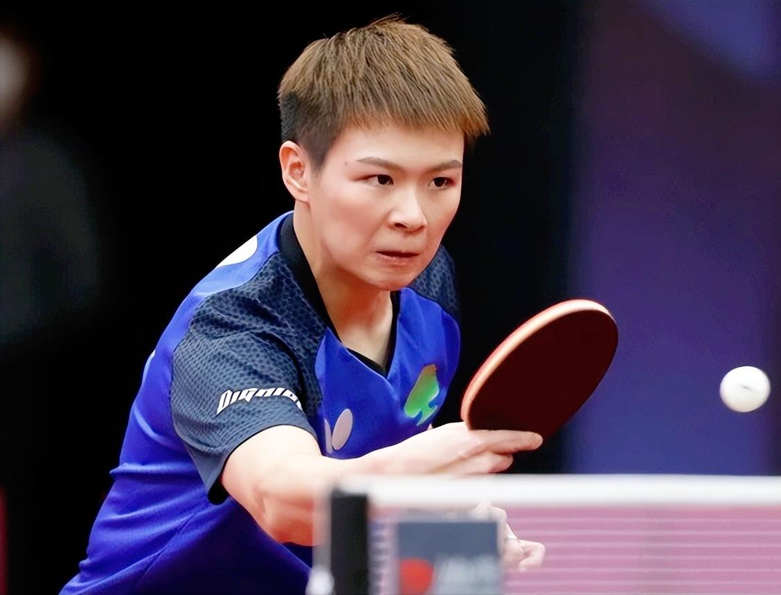 Fan Zhendong, a famous female table tennis star, is fanatically chasing ...