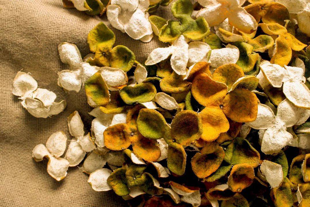 Why is your dried tangerine peel bitter? iNEWS