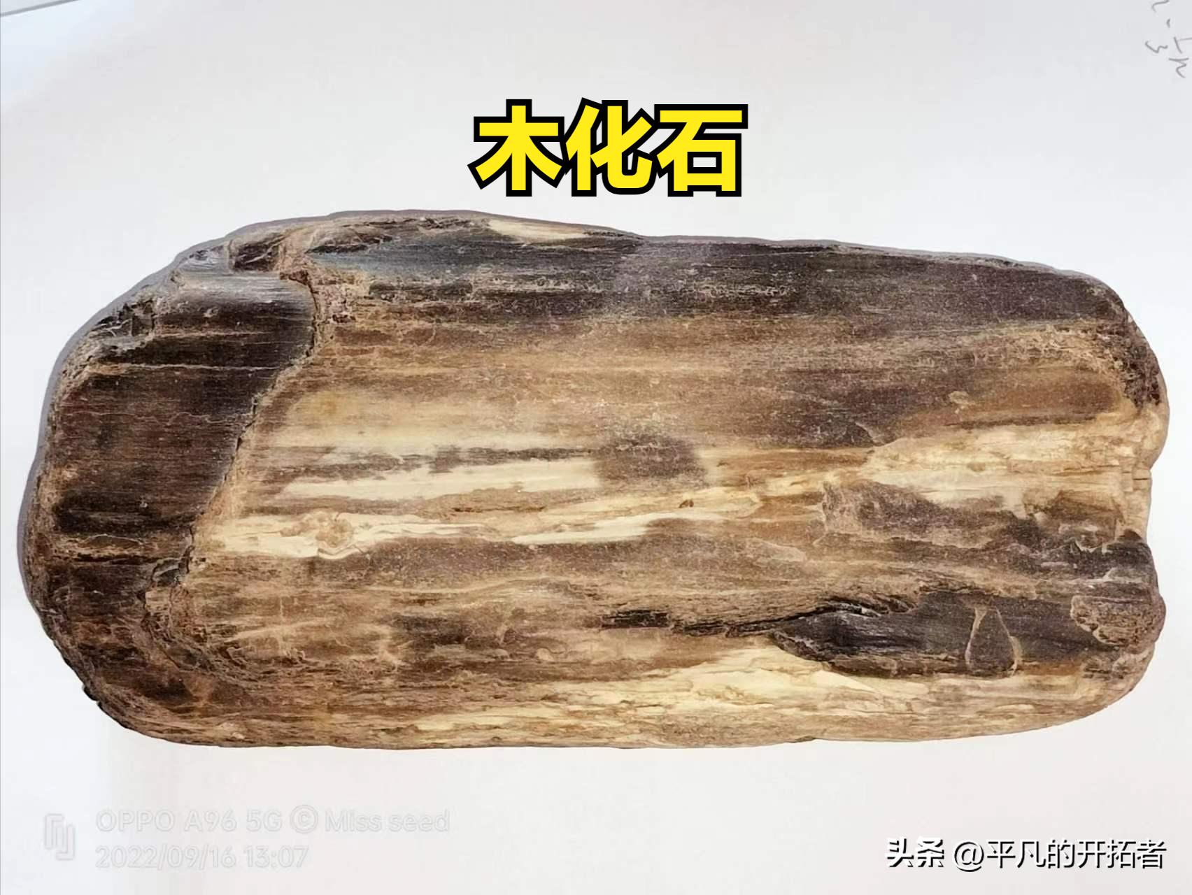 Prosaic Stone Prose - Stone Axe, Call of the Ancients - iNEWS