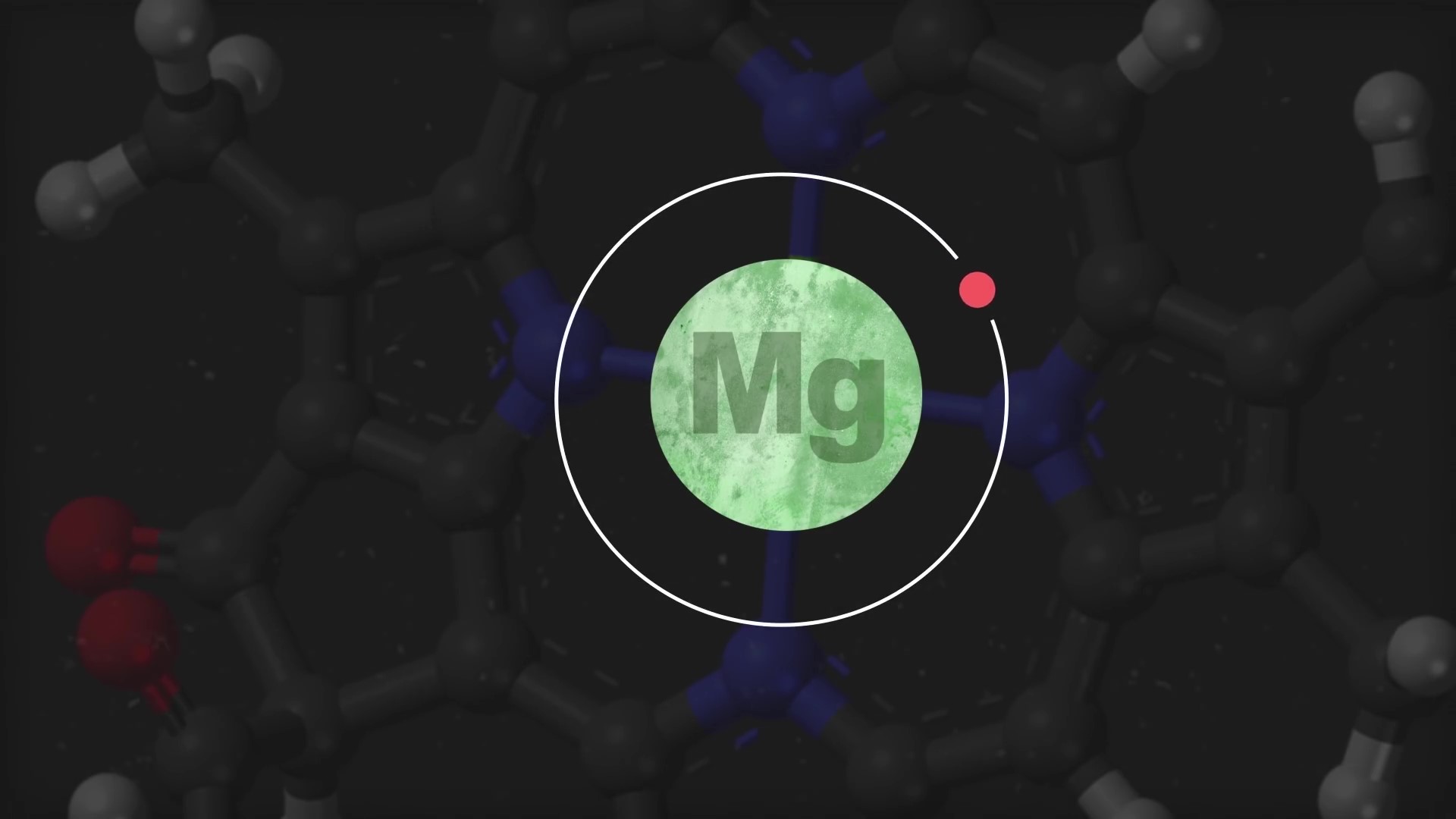 Quantum Biology How Plants Use Quantum Mechanics iNEWS