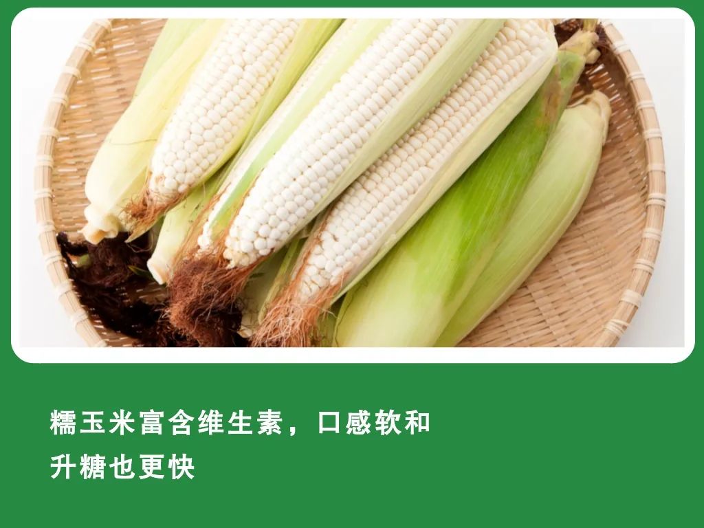 The same is corn, the difference in sugar is big?Which one is better