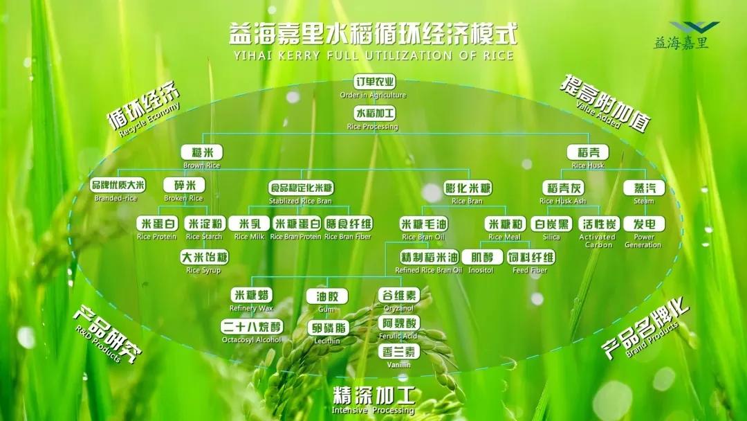 Yihai Kerry Arowana Chen Bo Five major consumer trends give birth to