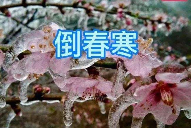 Spring After Non After entering the spring, when you are over 40 years old, you must ...