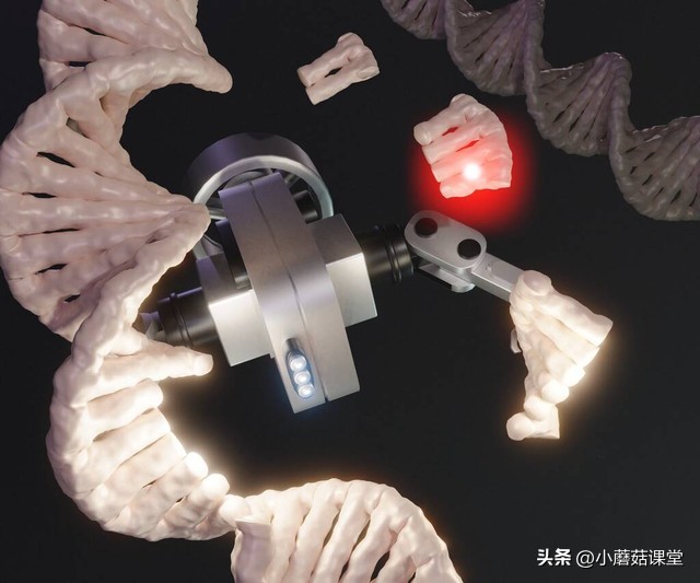 Future doctor: Nano-robots, your personal doctor is always online - iNEWS