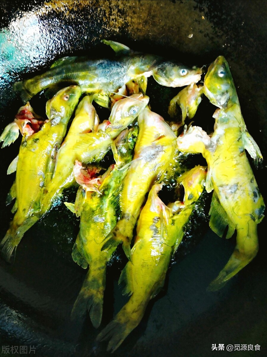 Yellow catfish yellow bone fish, why does it taste different from