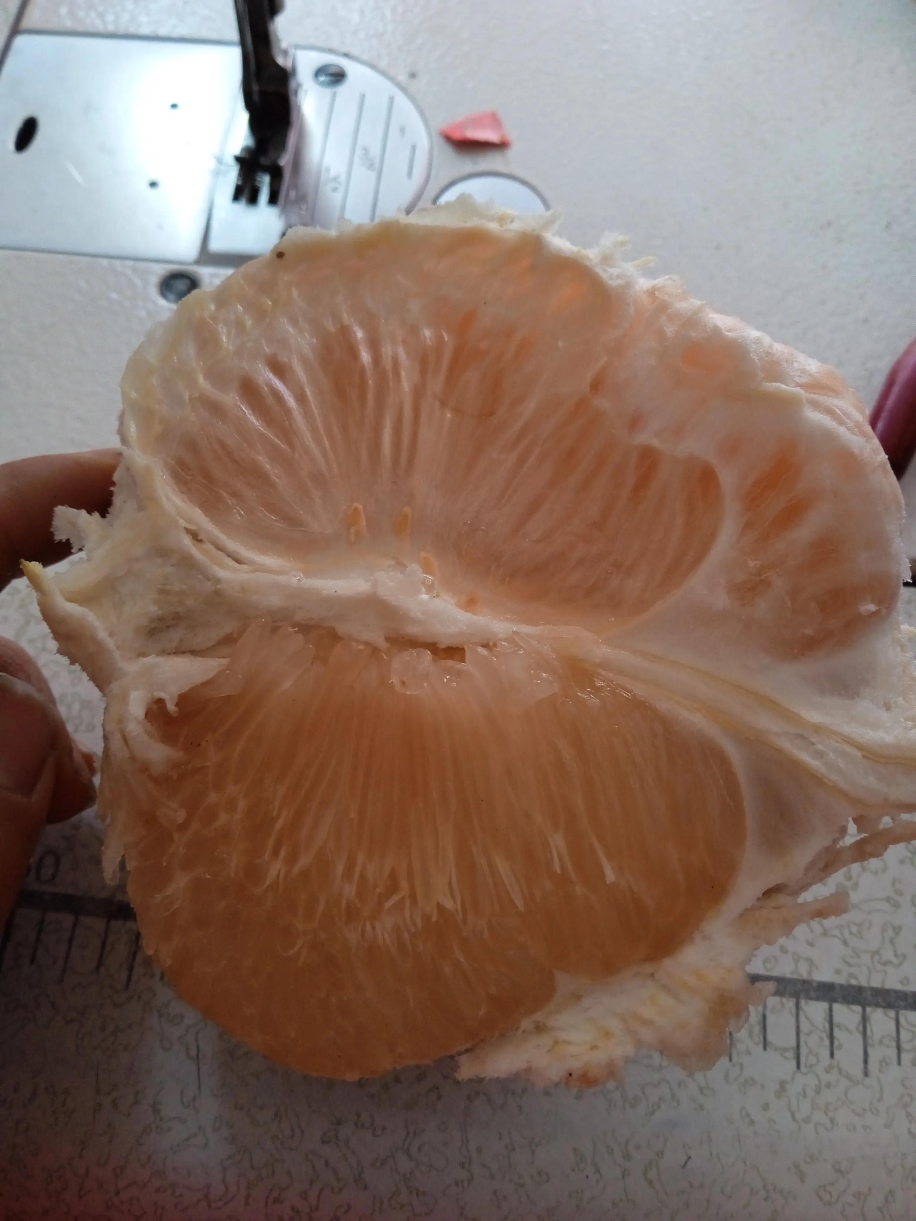 From Eating Bitter Pomelo to Reading "Bitter Pomelo" iMedia