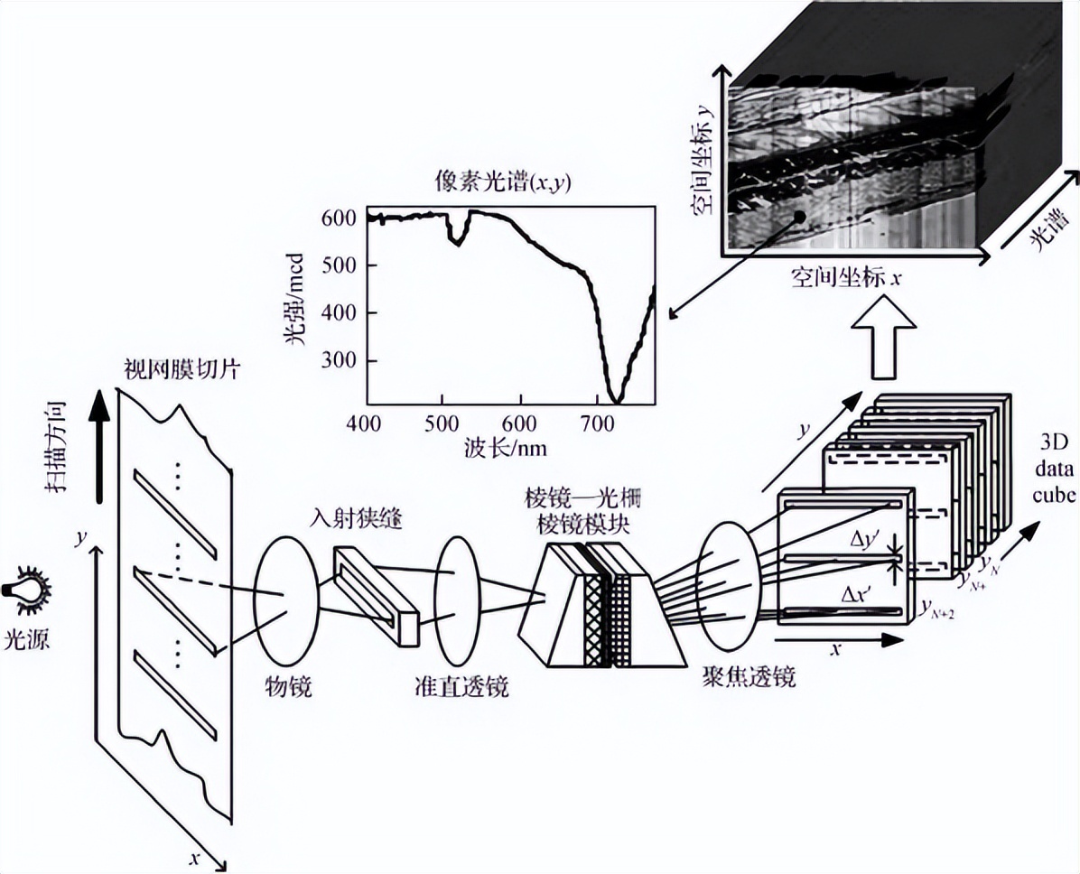 Applications of hyperspectral images in biomedicineLiesen Optics iMedia