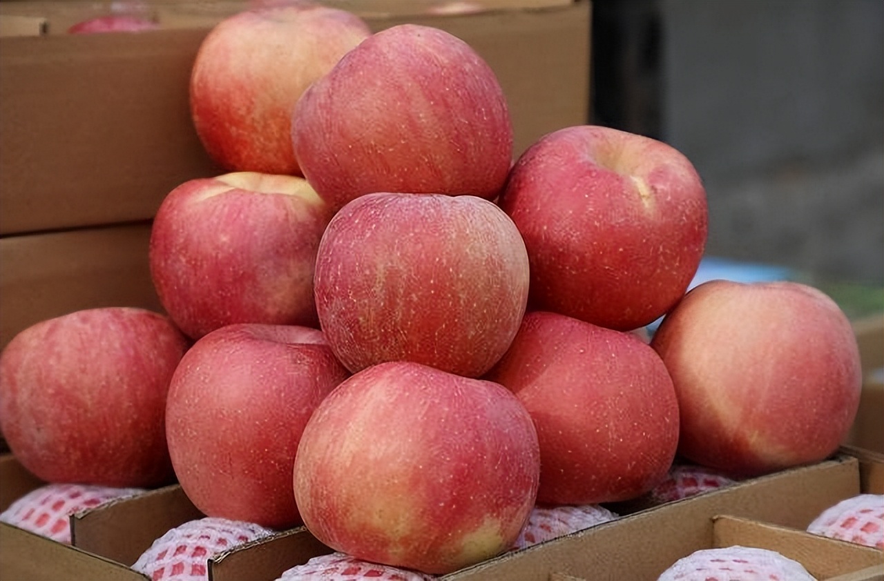 The "catalyst" of stomach disease is apple? Doctor Stomach is not good