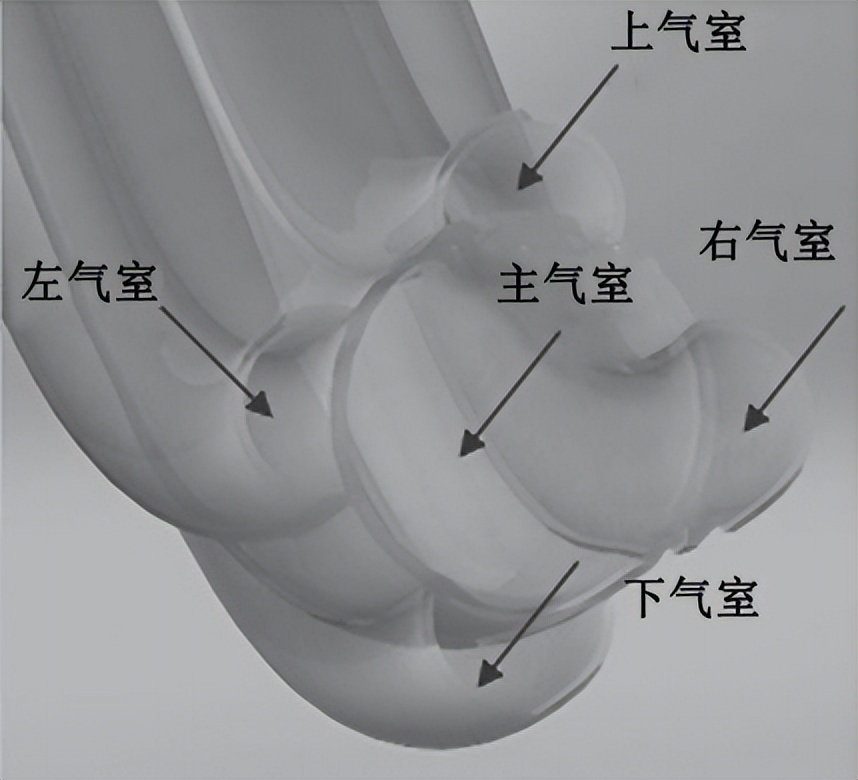 Vines are good for nothing? The bionic robot developed based on vines ...