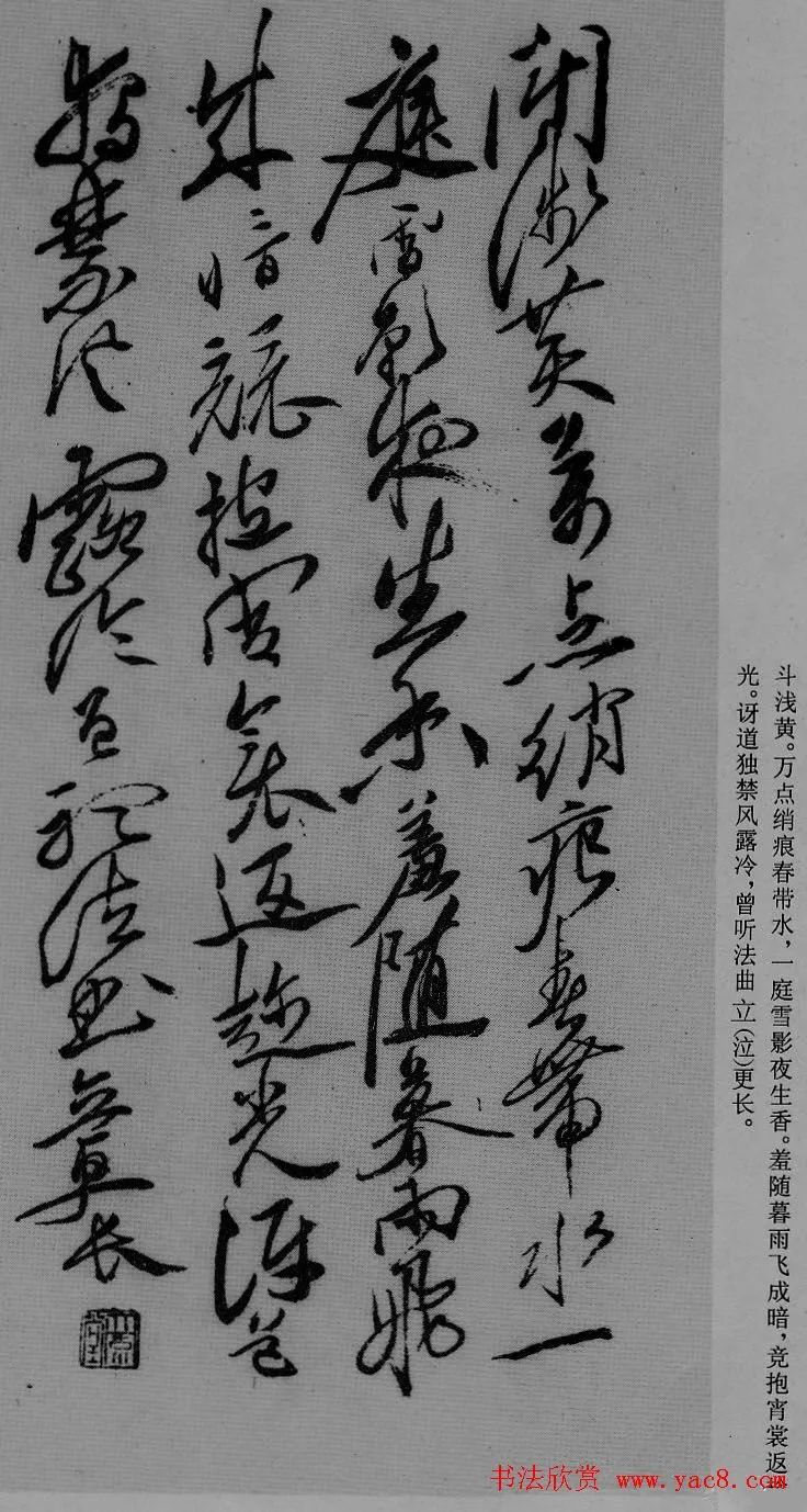 Xu Wei's cursive script
