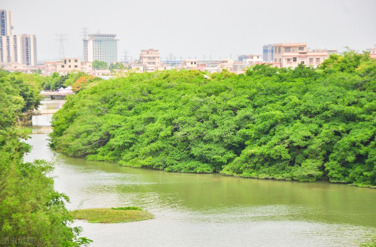 The biggest tree in China, do you know? iNEWS