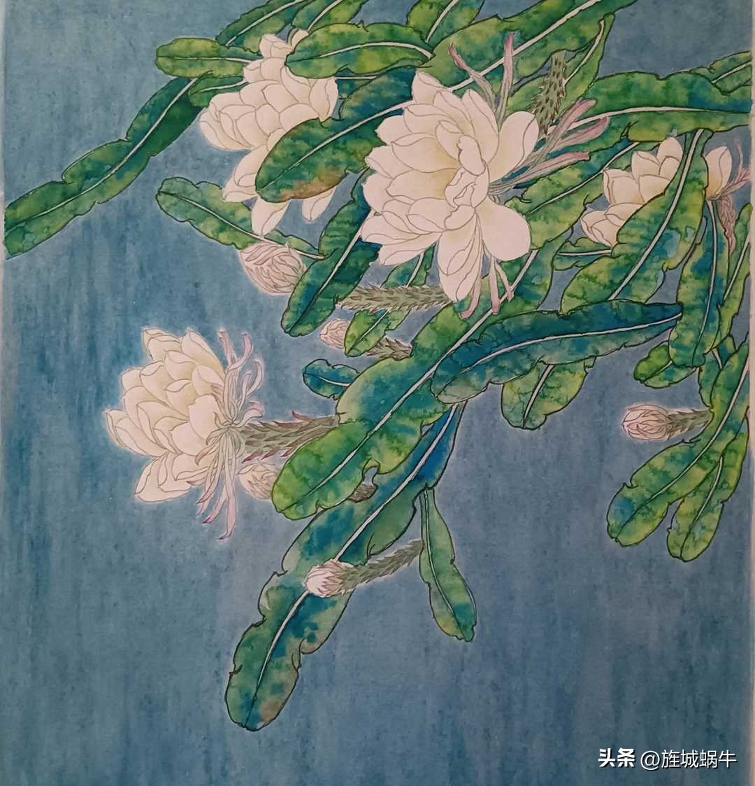 Drawing Record of 