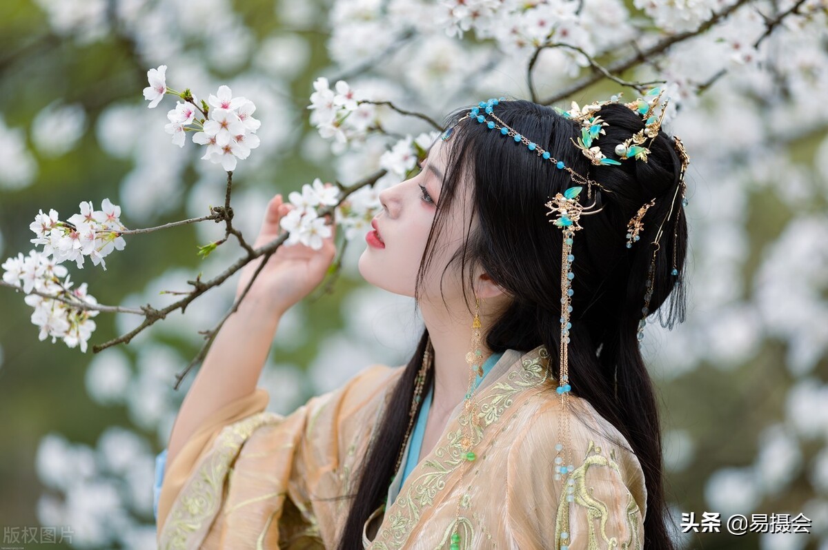 Picture appreciation-beautiful Hanfu under the cherry tree - iNEWS