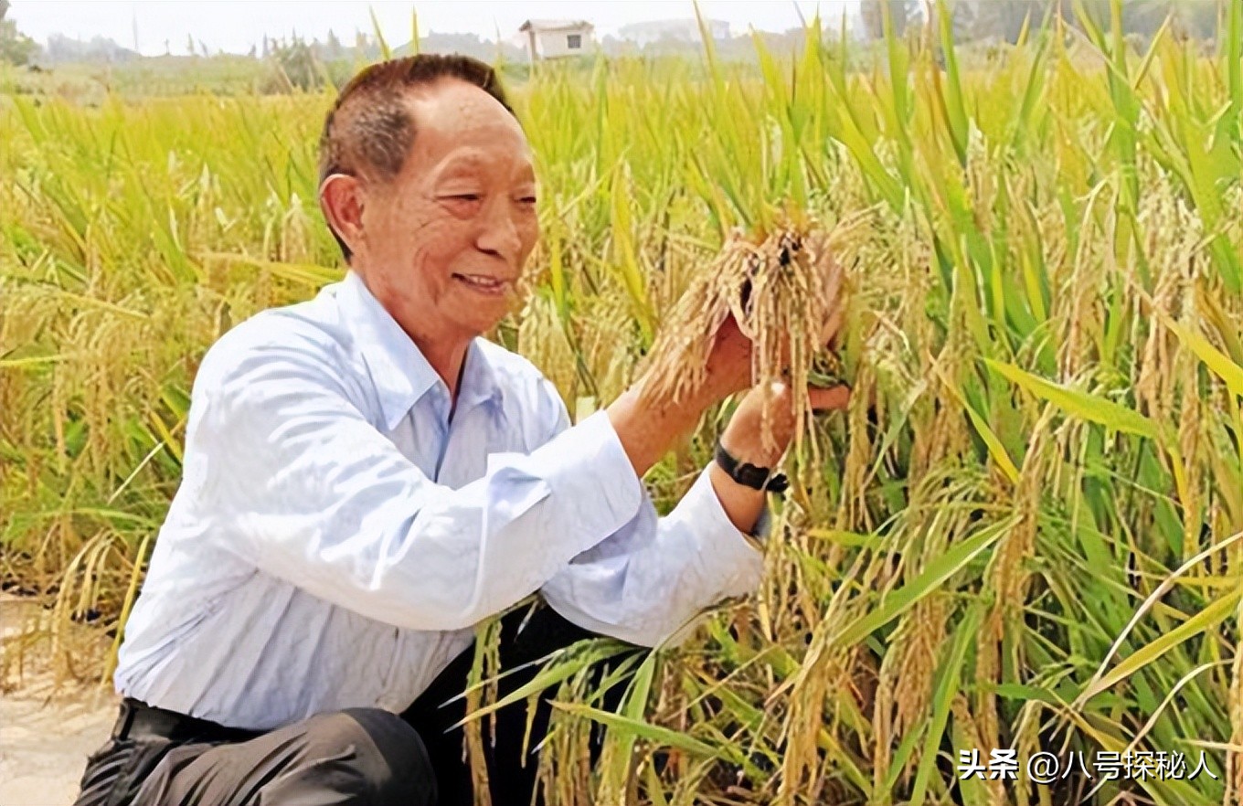 Academician Yuan Longping's scientific contribution and personality ...