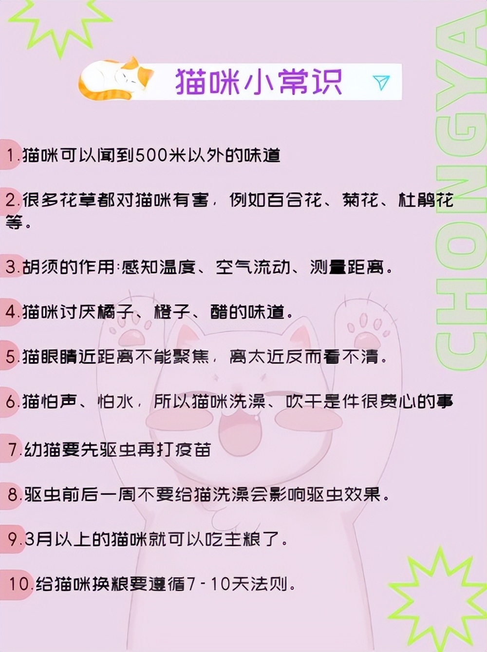 Cat Sense of Smell How Far Can Cats Smell? iNEWS