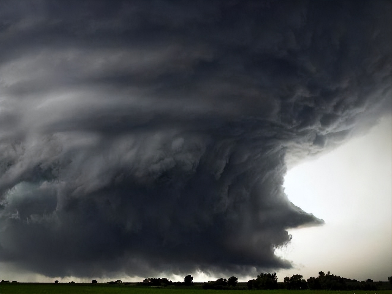 Subvert Visual Example 38 super shocking pictures, subvert your visual perception! - iNEWS