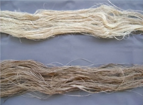 Research on Rose-colored Fiber and Its Composite Materials - iNEWS