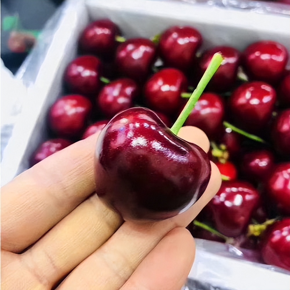 Can people with diabetes eat cherries? It is said that cherry pits can