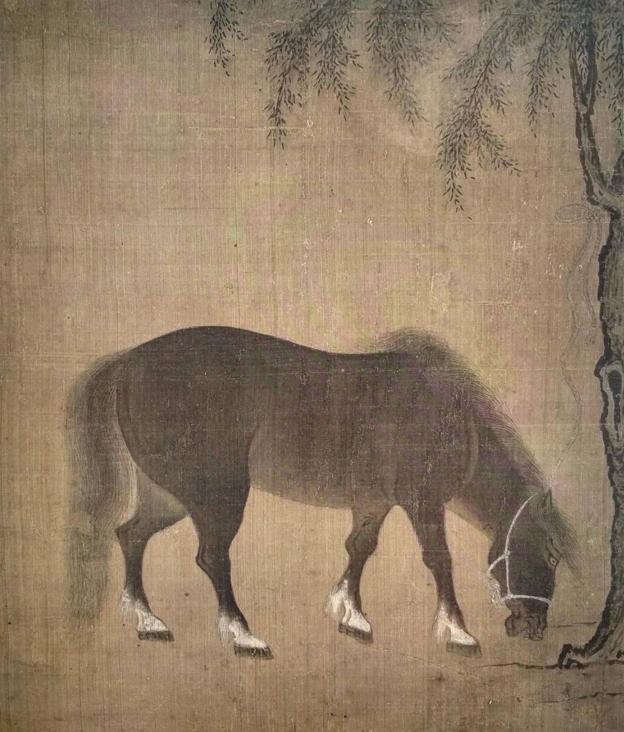 Appreciation of a hundred pictures of pommel horses magnificent and