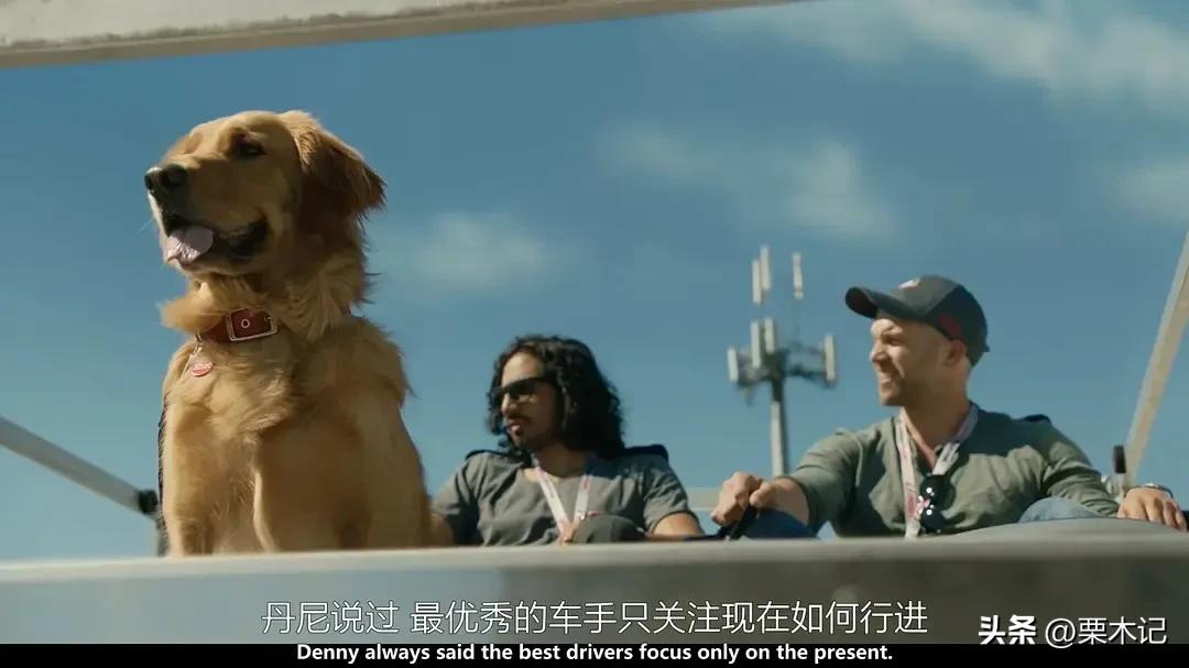 After watching the movie, I decided not to keep a dog - iNEWS