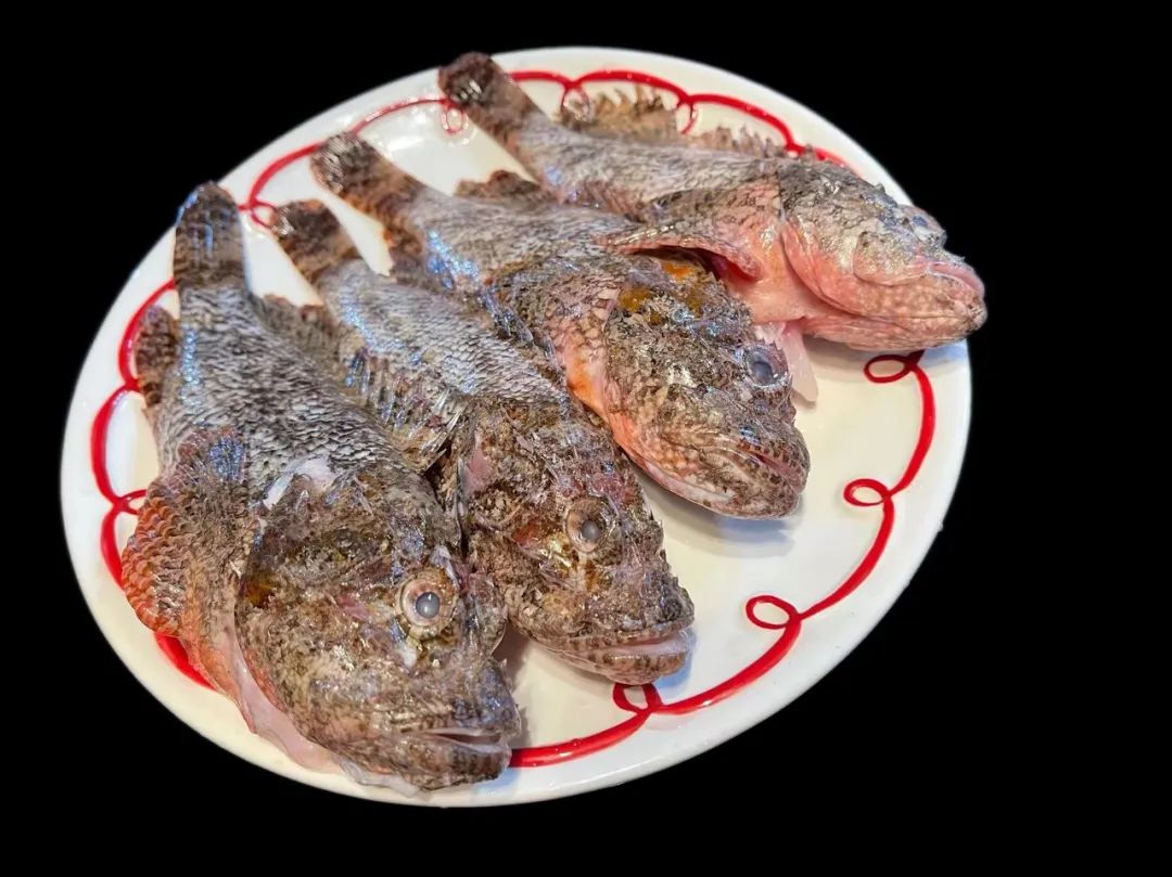 Chao Dad's lunch record on August 31st, try wild stonefish, which is ...