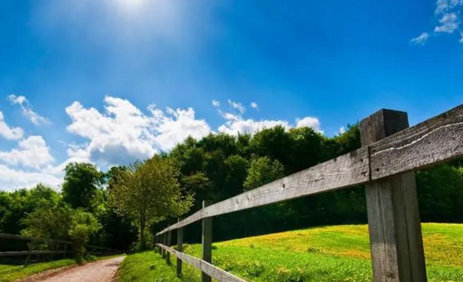 The German "The Knockout" movement the meaning and representative