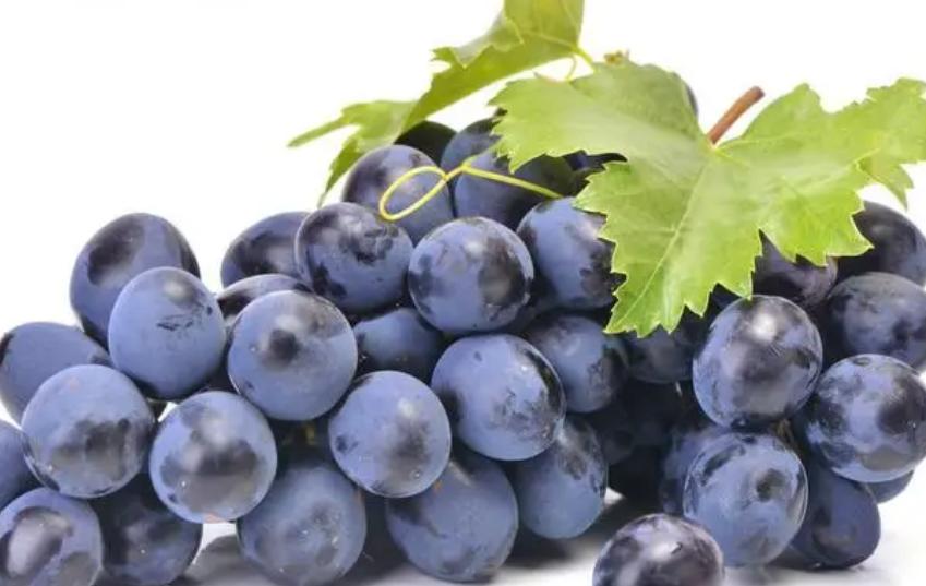 Can people with high blood fat not eat grapes in summer? Doctor If you